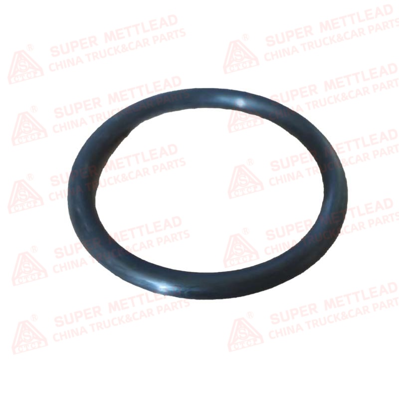 LW300F Ring (Dust Seal) 251900441