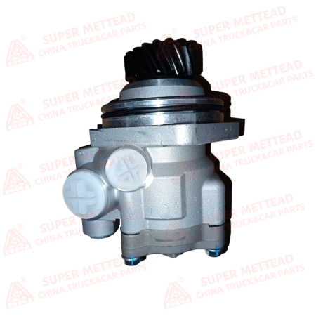 Power Steering Pump WG9731471025 (1)